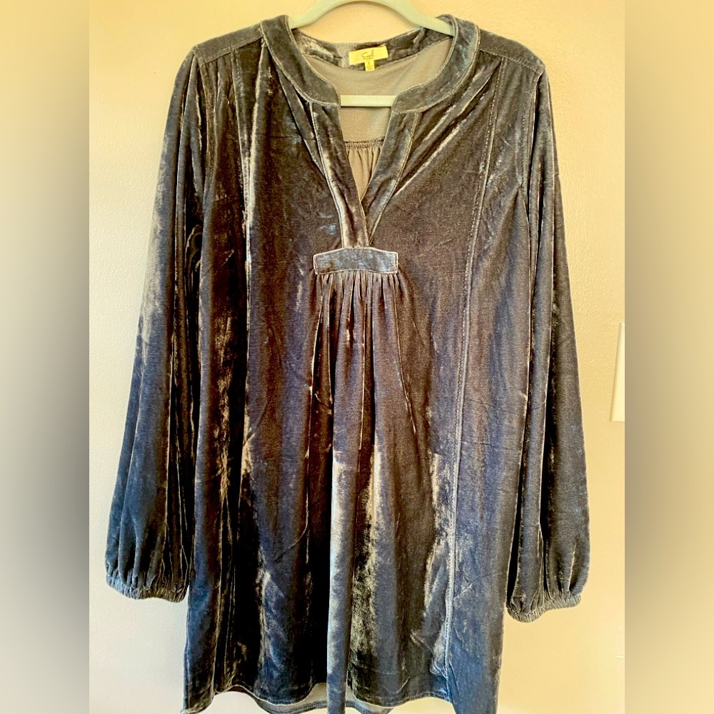 Velvet Easel dress